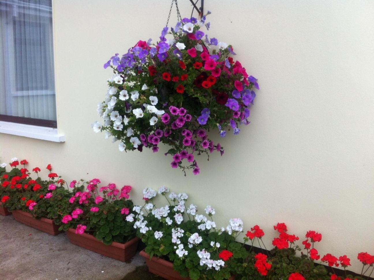 Hillview House Hotel Lusk Exterior foto